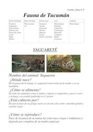 Fauna De Tucuman Pc3 Yaguarete