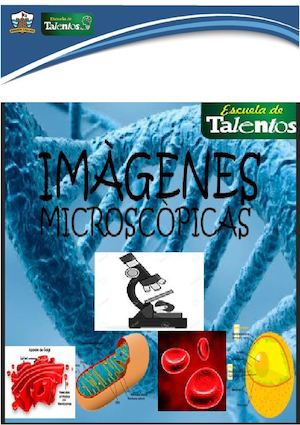 Biología: Microscopia ET