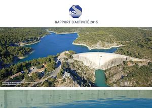 Rapport d'Activité 2015