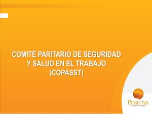 Funciones Del Copasst