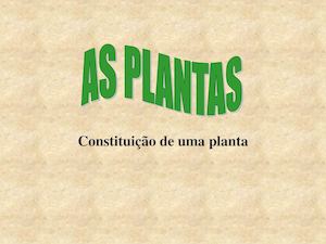 As Plantas 2º Ano