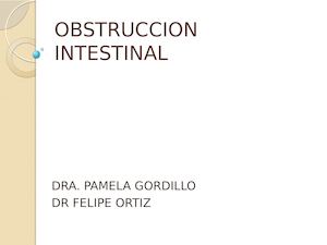 Obstruccion Intestinal