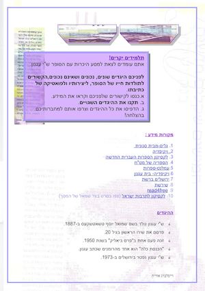 שי עגנון פעילות