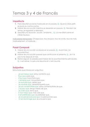 Temas 3 Y 4 De Francés
