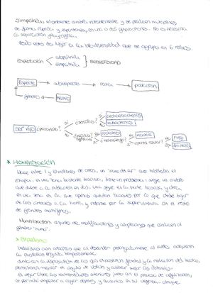 CMCTema1 2