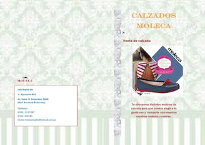 CATALOGO-CALZADOS MOLECA