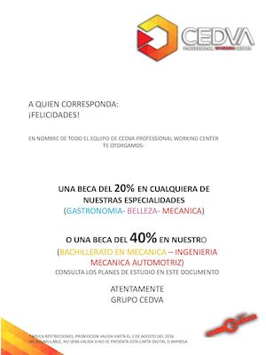 Cedva Professional Working Center (Planes De Estudio)
