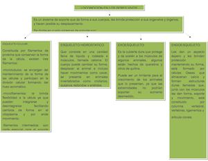 Sistema Locomotor En Seres Vivos