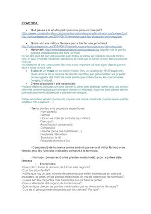 Pràctica