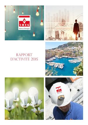 Rapport d'activité SMEG 2015