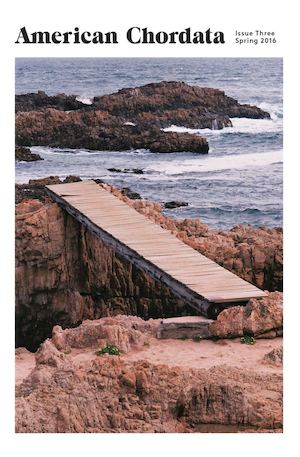 American Chordata: Issue Three, Spring 2016