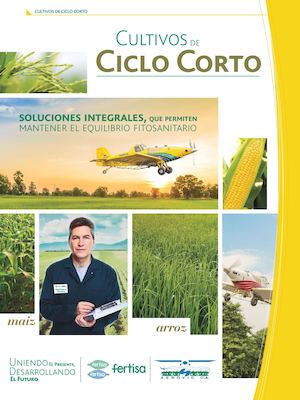 Ciclo Corto