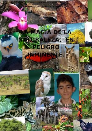 Animales En Peligro De Extinción (1)