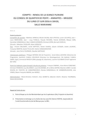 27 06 16, compte rendu de la plénière