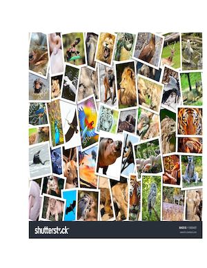 respiracion en animales