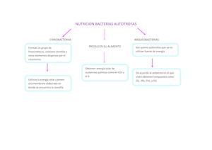 Nutricion Bacterias Autotrofas