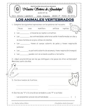 Animales Vertebrados