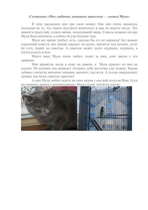 Сочинение про кошку