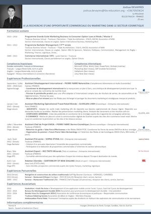Cv Devayres Joshua 2016 Fr