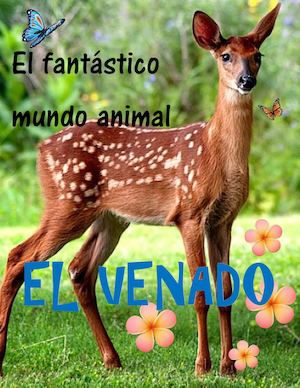 El Venado