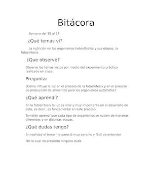 Bitácora