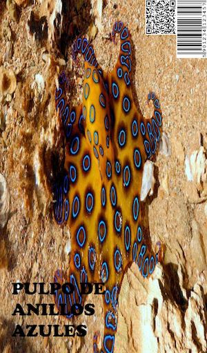 Pulpo de anillos azules