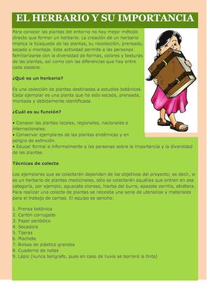 El Herbario Y Su Importancia