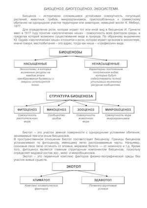 Биоценоз, биогеоценоз, экосистема урок шаблон 11 класс