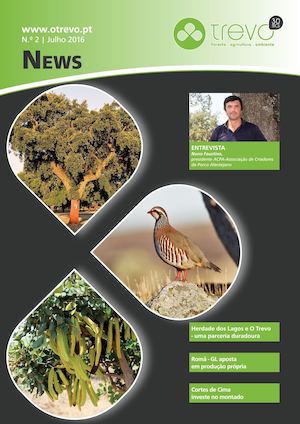 O Trevo News Nº2-julho 2016