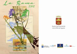 Programa Fiestas Las Nieves 2016. Agaete