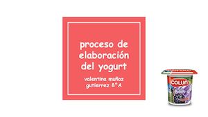 Proceso De Elaboración Del Yogurt