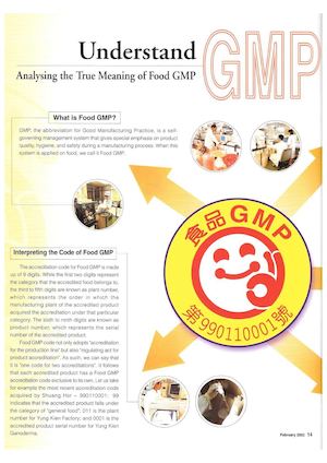 GMP Definition (English)