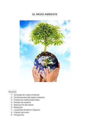 Documento Medio Ambiente