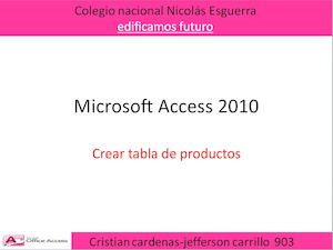 Microsoft Access 2010