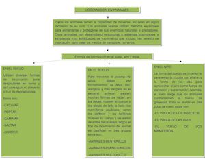 Sist Locomotor De Los Animales