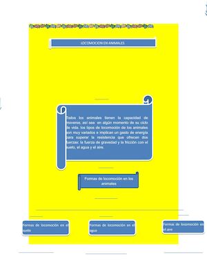 Locomocion En Animales