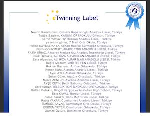 Etw Certificate 118295 Tr