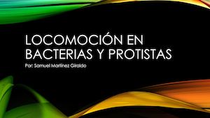 Locomoción En Bacterias Y Protistas