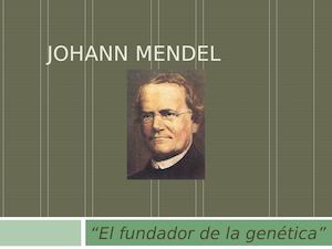 Johann Mendel