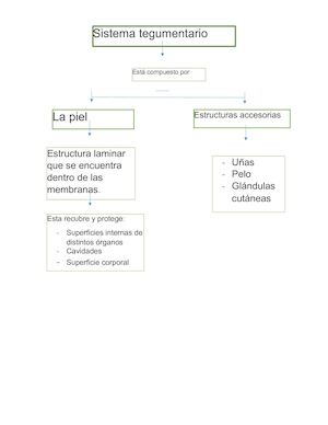 Tegumentario