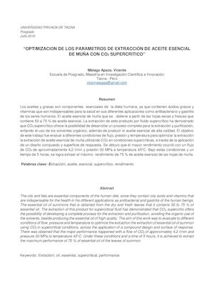 Articulo De Aceite Esencial De Muña