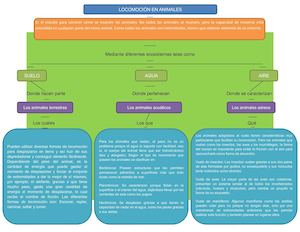 Locomoción En Los Animales