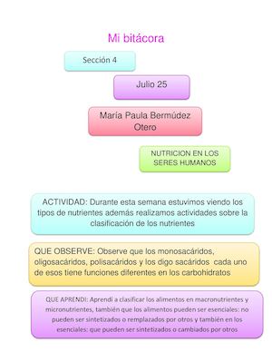Mi Bitácora