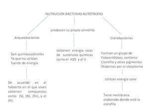 Mapas Mentales (1)