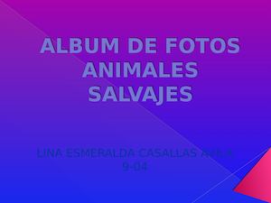 Album De Fotos
