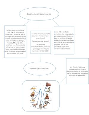 Sistema De Locomocion
