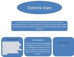 David Martinez Mapa Conceptual