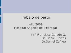 20090803 Trabajo De Parto