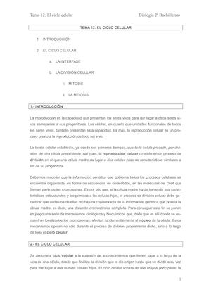 Tema 12 El Ciclo Celular