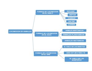 Locomocion De Los Animales